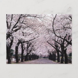 TOKYO POSTKARTE