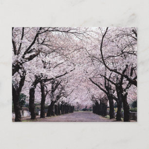 TOKYO POSTKARTE