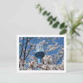 Tokyo Streetlights: Den'en Chofu Postkarte (Stehend Vorderseite)