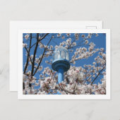 Tokyo Streetlights: Den'en Chofu Postkarte (Vorne/Hinten)