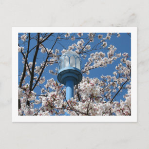 Tokyo Streetlights: Den'en Chofu Postkarte