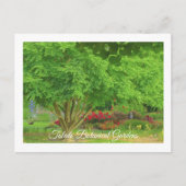 TOLEDO BOTANICAL GARDEN, TOLEDO, OHIO USA POSTKARTE (Vorderseite)