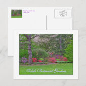 TOLEDO BOTANISCHE GARTEN, SPRING, POSTKARTE (Vorne/Hinten)