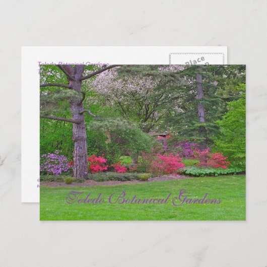 TOLEDO BOTANISCHE GARTEN, SPRING, POSTKARTE (Vorne/Hinten)