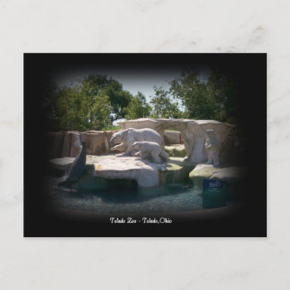 Toledo Zoo Polar Bear Statue Postcard Postkarte