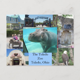 Toledo Zoo Postkarte