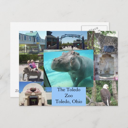 Toledo Zoo Postkarte (Vorne/Hinten)