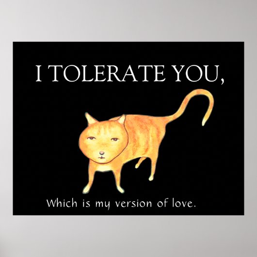 Tolerant Apathetic Orange Cat Poster (Vorne)