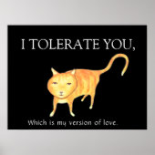 Tolerant Apathetic Orange Cat Poster (Vorne)