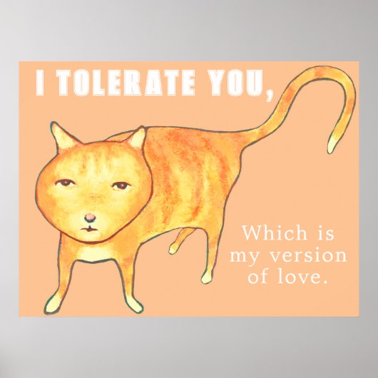 Tolerant Apathetic Orange Cat Poster (Vorne)