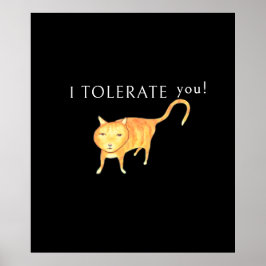 Tolerante apathische orange Katze Poster