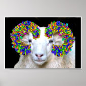 Toll-like Ram Poster (Vorne)