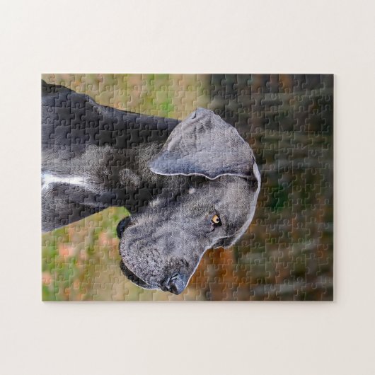 Toll. Puzzle (Horizontal)