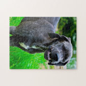 Toll. Puzzle (Horizontal)