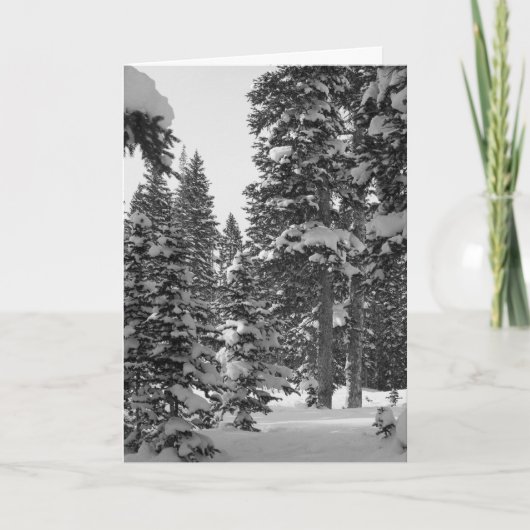 Toll, von dir zu hören! Nach Weihnachten (Vorderseite)