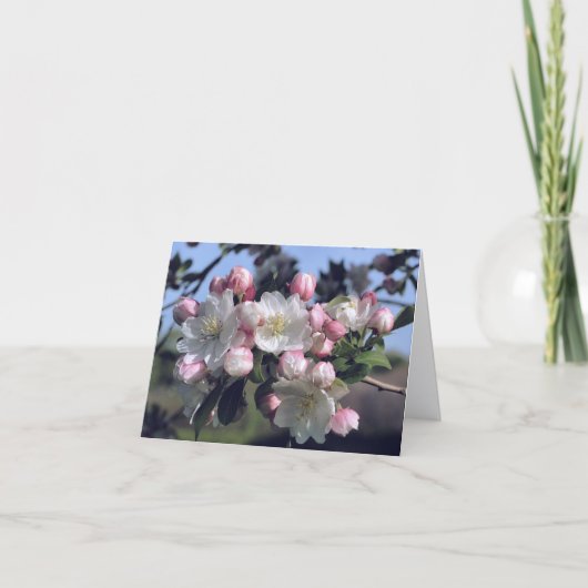 Tolle Blüten Blumenfotografie  (Vorderseite)