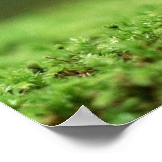 Tolle Dinge Inspiration Poster (Ecke)