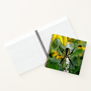 Tolle Foto-Orbweberin im Netz Notizbuch