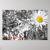 Tolle Giraffe Attraction Poster! Poster (Vorne)