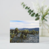 Tolle Joshua Tree Postcard! Postkarte (Stehend Vorderseite)