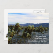 Tolle Joshua Tree Postcard! Postkarte (Vorne/Hinten)