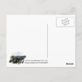 Tolle Joshua Tree Postcard! Postkarte (Rückseite)