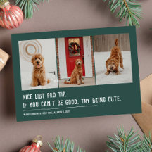 Tolle Liste lustiges Haustier drei Foto Grün Weihn