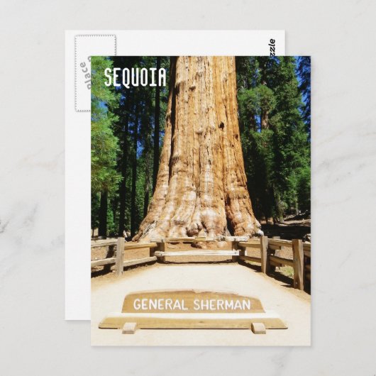 Tolle Sequoia Postcard! Postkarte (Vorne/Hinten)