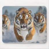 Tolle Tiger-Mauspad! Mousepad (Vorne)
