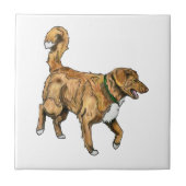 Toller-Fliese Fliese (Vorderseite)