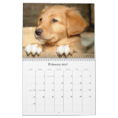 Toller-Kalender Kalender (Feb 2027)