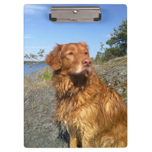 Toller naß klemmbrett