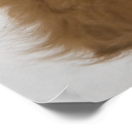 Toller Puppy Poster (Ecke)