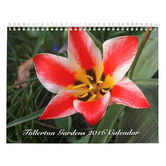 Tollerton arbeitet Kalender 2016 im Garten (Titelbild)
