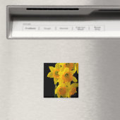 Tolles Gelb- und Orangenfutter Magnet (In Situ (Geschirrspüler))
