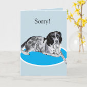 Tolles Schwarz-Weiß Springer Spaniel Sorry Karte (Gelbe Blume)