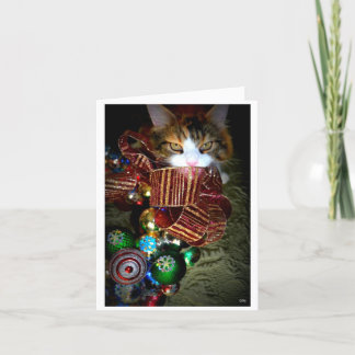 tolles Weihnachten
