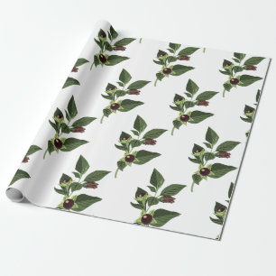 Tollkirsche Geschenkpapier