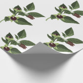 Tollkirsche Geschenkpapier (Ecke)