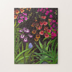 Tolumnia Equitant Oncidium Orchideen-Puzzlespiel Puzzle