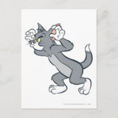 Tom bereit postkarte (Vorderseite)