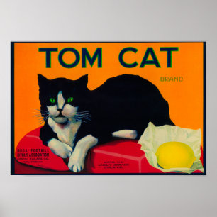 Tom-Katzen-Zitrone LabelOrosi, CA Poster