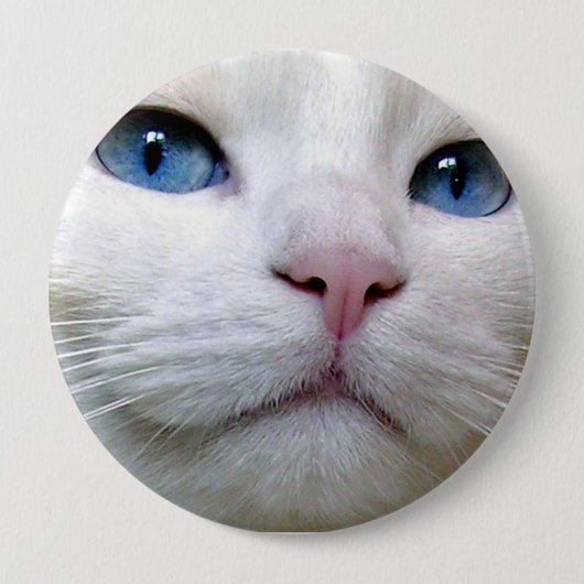 Tom-Knopf Button (Vorderseite)