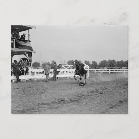 Tom Mix sammelt einen Hut Postkarte (Vorderseite)