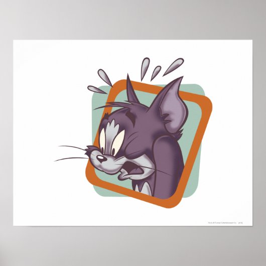 Tom Scaredy Cat Poster (Vorne)