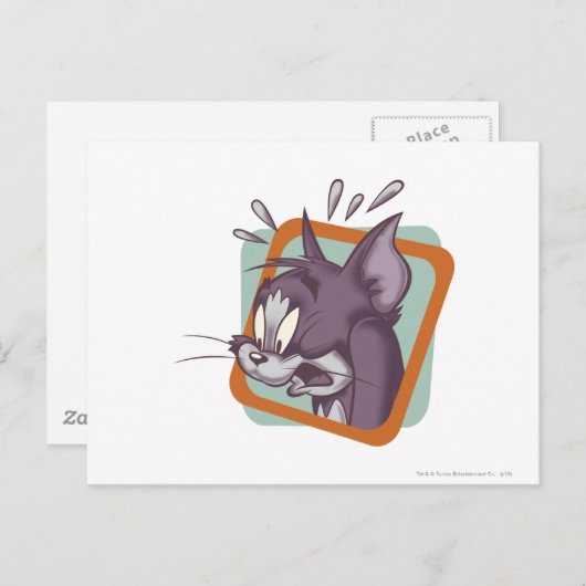 Tom Scaredy Cat Postkarte (Vorne/Hinten)