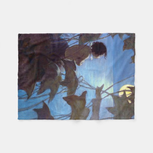 Tom sieht sich den Mond an, Jessie Willcox-Smith Fleecedecke (Vorderseite (Horizontal))