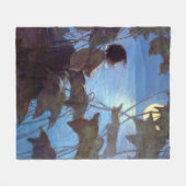 Tom sieht sich den Mond an, Jessie Willcox-Smith Fleecedecke (Vorderseite (Horizontal))