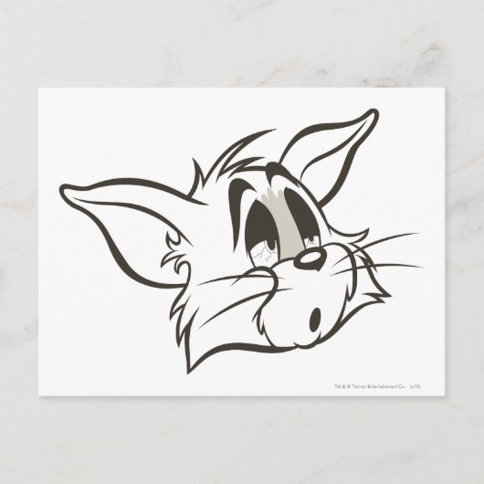 Tom Sleepy Cat Postkarte (Vorderseite)