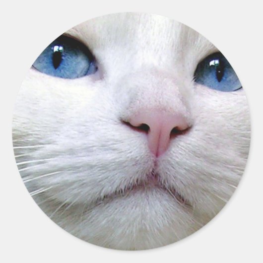 Tom Sticker (Vorderseite)